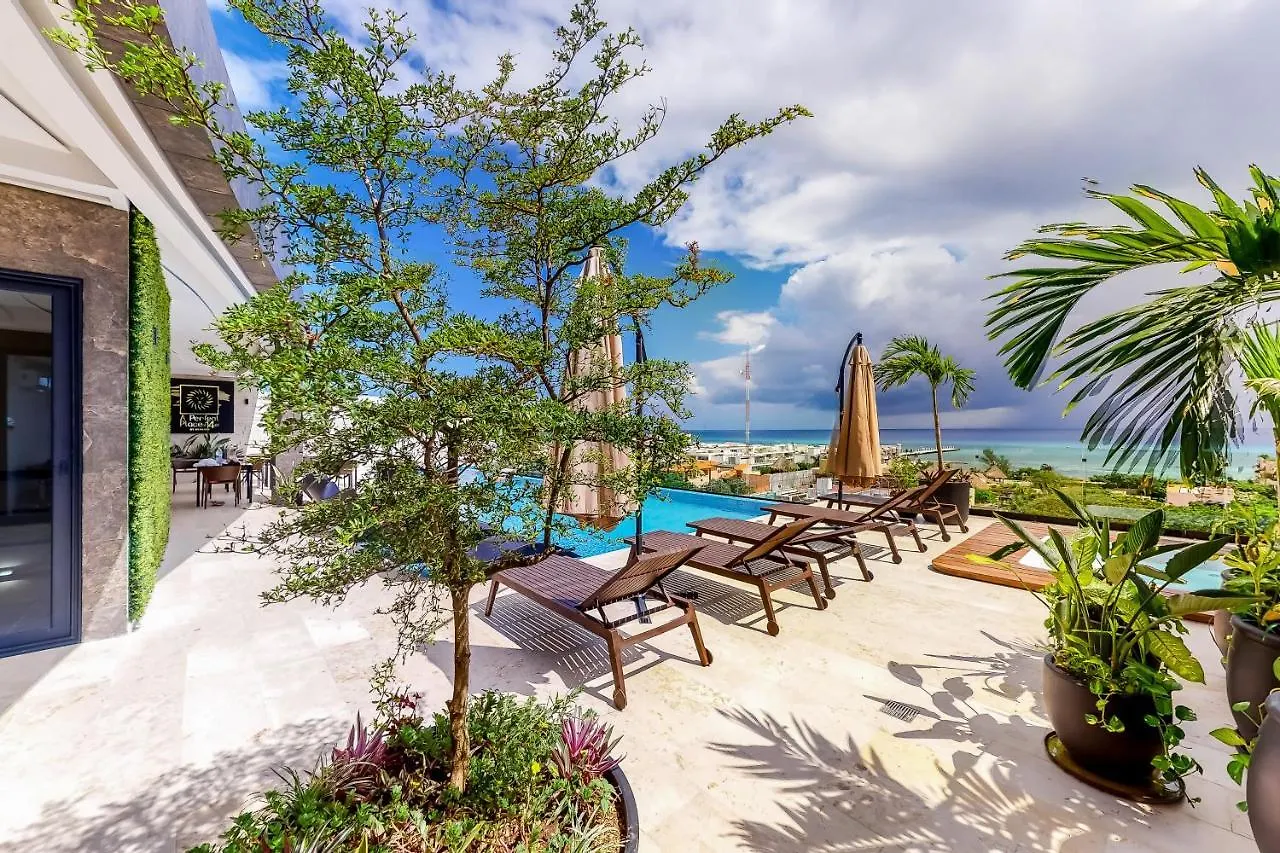 Perfect Place 211 Πλάγια Ντελ Κάρμεν